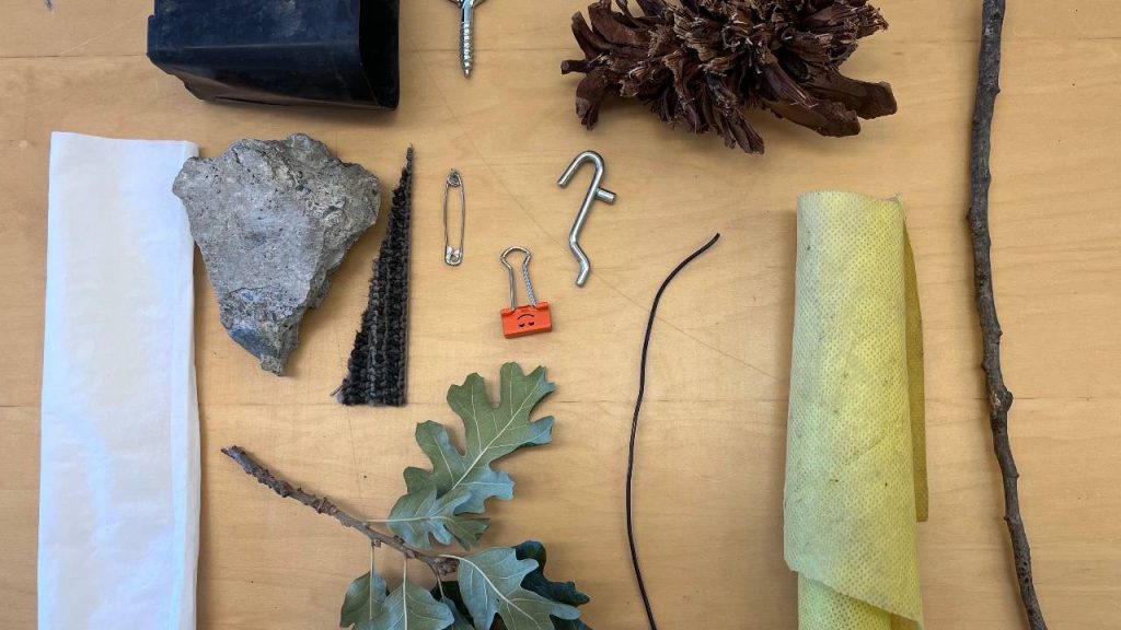 A collection of various found objects—including natural items like a stick