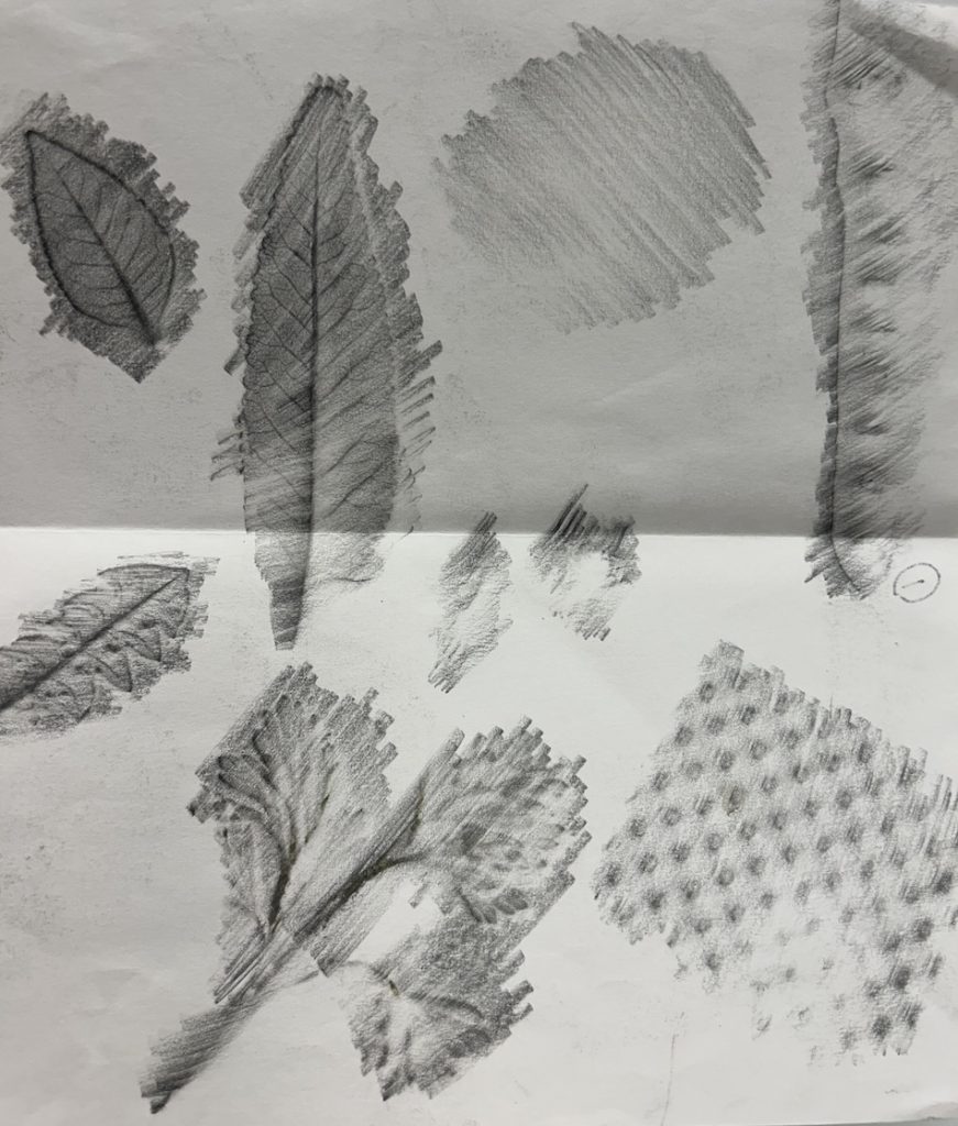 Pencil texture rubbings on white paper, including several distinct leaf shapes and various surface patterns like grids and diagonal lines, created by placing paper over objects and rubbing with pencil to reveal textures.